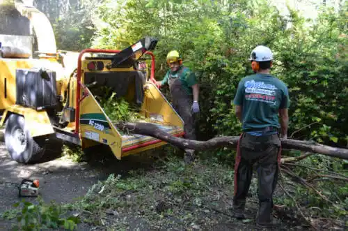 tree services Alhambra Valley